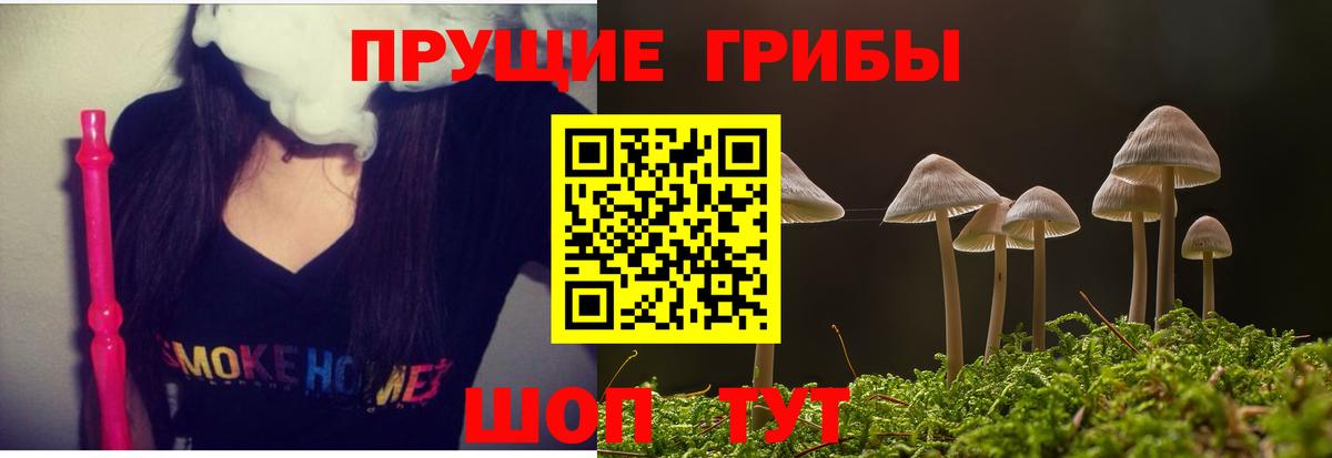 Удомля  Галлюциногенные грибы Magic Shrooms  Вход с VPN 